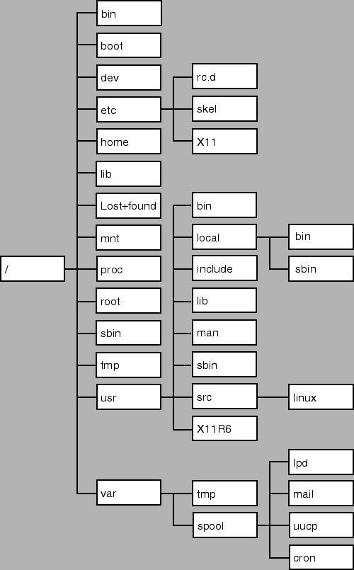 Linux file system structure